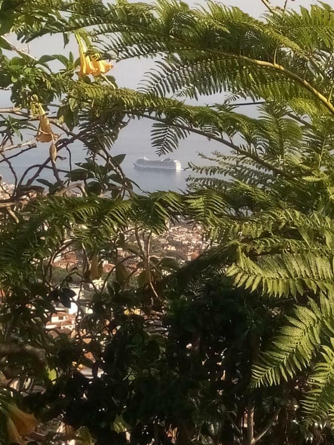 La Chambre De Ker Briac Φουνκάλ Εξωτερικό φωτογραφία